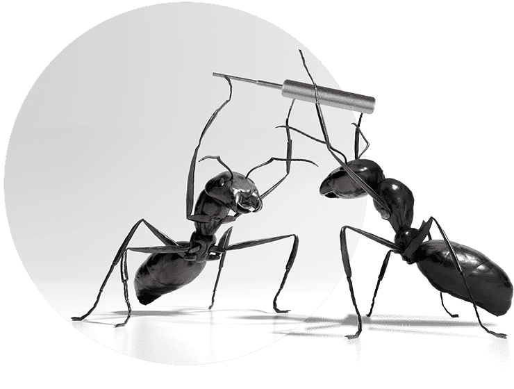 Zwei Ameisen halten Mikrodrehteil in die Höhe